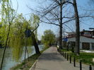 DSCN1871