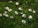 DSCN1878
