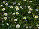 DSCN1879