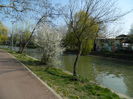 DSCN1882
