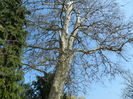 DSCN1883
