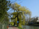 DSCN1885