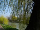 DSCN1887