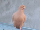 DSCN1433