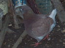 DSCN1440