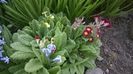 WP_20160328_001