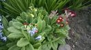 WP_20160328_002