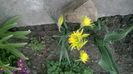 WP_20160328_004