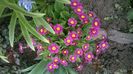 WP_20160328_005
