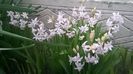 WP_20160328_007