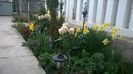 WP_20160328_008
