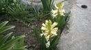 WP_20160328_009