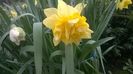 WP_20160328_014