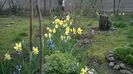 WP_20160328_015