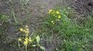 WP_20160328_019