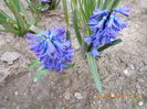 DSCN1189
