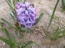 DSCN1190