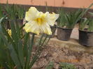 DSCN1228