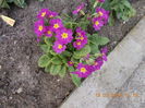 DSCN1200
