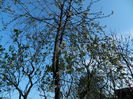 DSCN3252