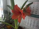 WIN_20160329_151041