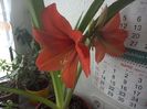 WIN_20160329_151102