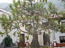 DSCN0171