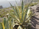 DSCN0254