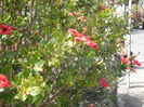 DSCN0215