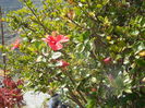 DSCN0216