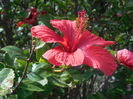 DSCN0217