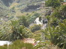 DSCN0219