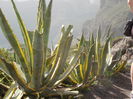 DSCN0259