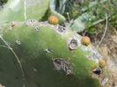DSCN0263