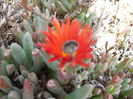 DSCN0265