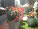 DSCN0353