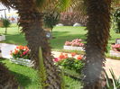 DSCN0354