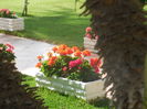 DSCN0355