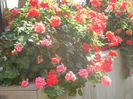 DSCN0357