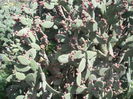 DSCN0365