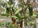 DSCN0369