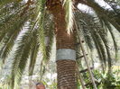 DSCN0370
