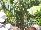 DSCN0371