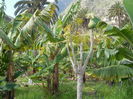 DSCN0372