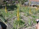 DSCN0374