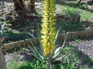 DSCN0375