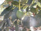 DSCN0377