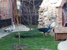 20160330_174943