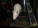 SAM_2620