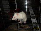 SAM_2621